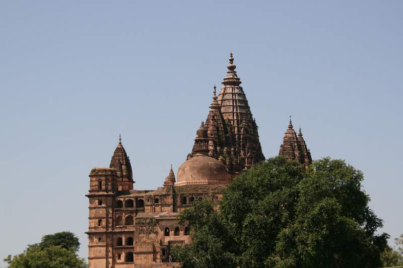 India & Nepal 2011 - 1085